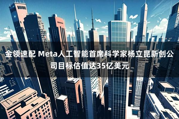 金领速配 Meta人工智能首席科学家杨立昆新创公司目标估值达35亿美元